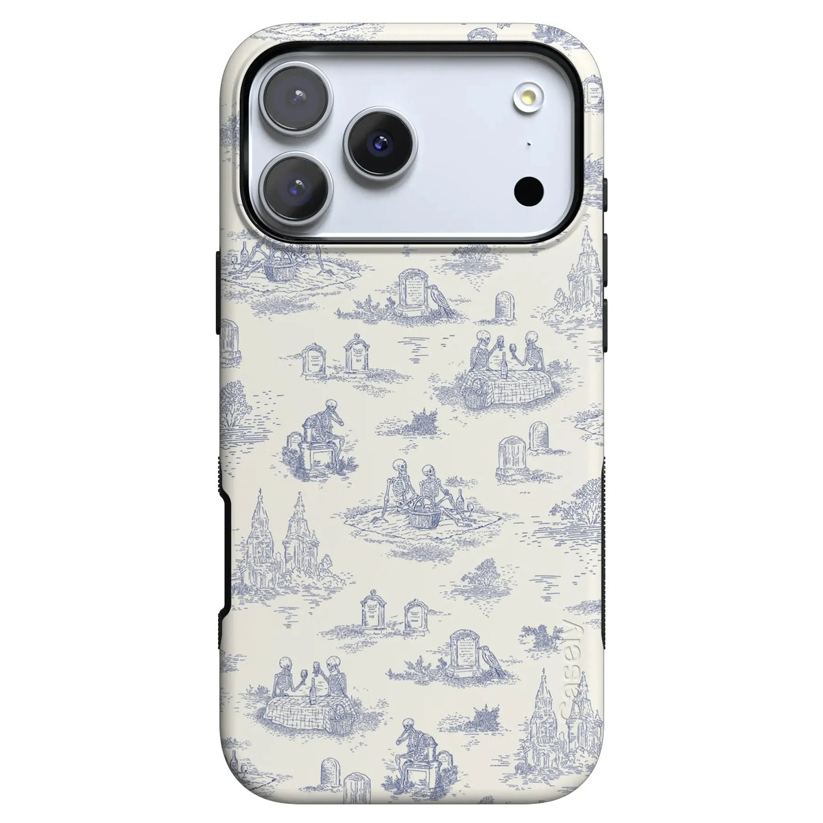 Graveyard Gathering | Skeleton Picnic Case