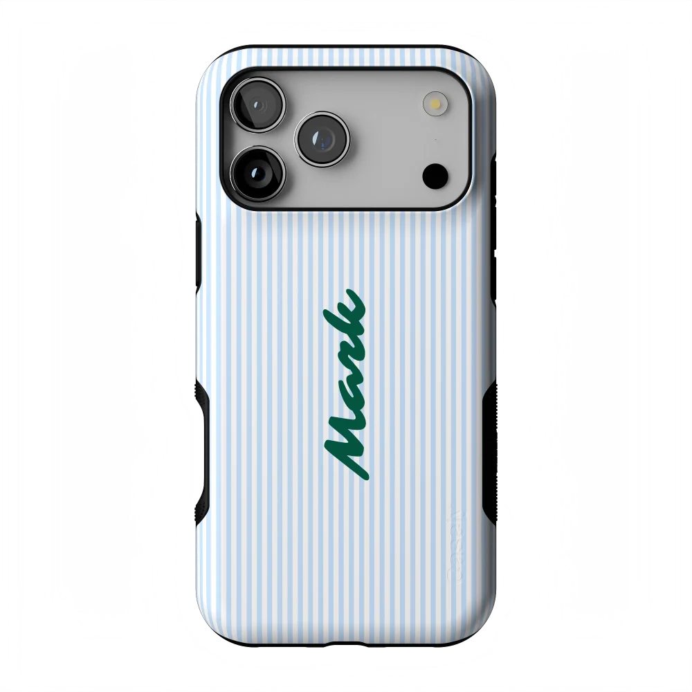 Stripes and the City | Light Blue Pinstripe Case