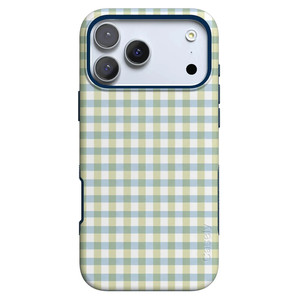 Pastel Picnic | Blue & Green Gingham Case
